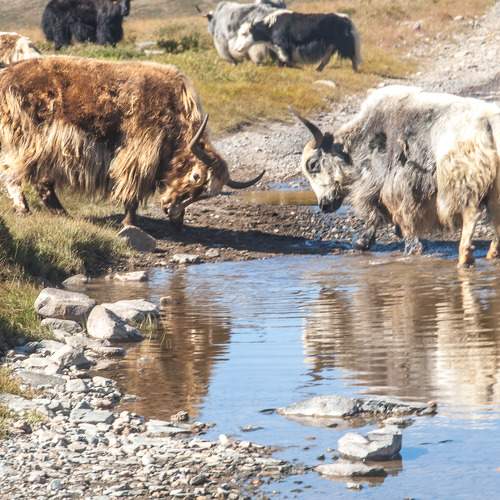 Photo #7329539