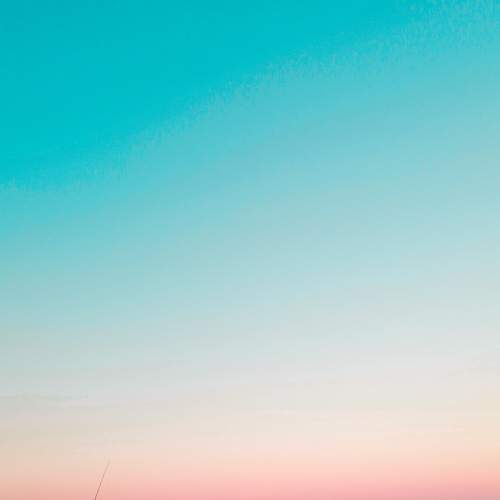 Photo #7329663