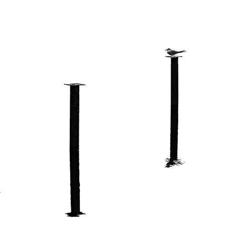 Фотография #7329765