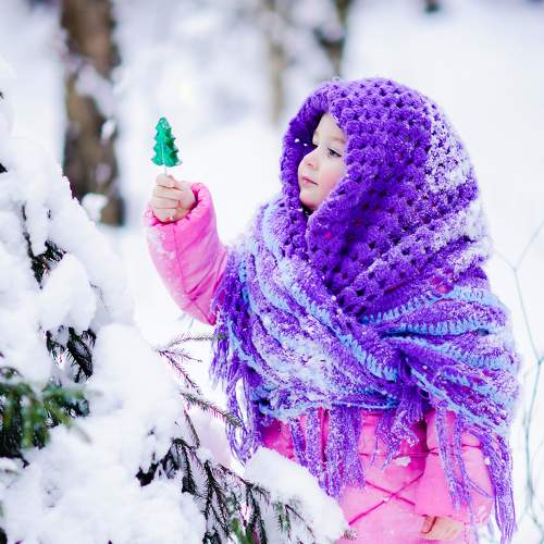 Photo #7329829