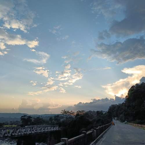 Photo #7330056