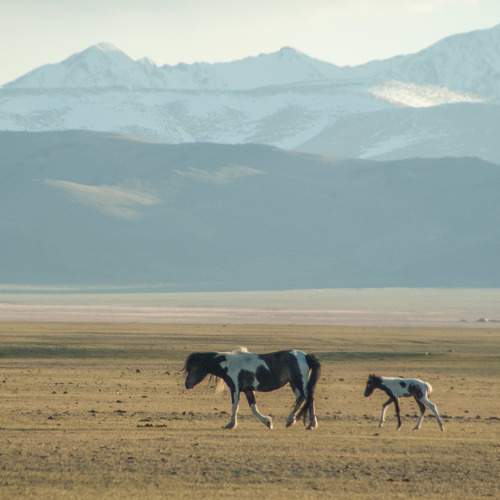 Photo #7330465