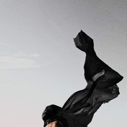 Black feather