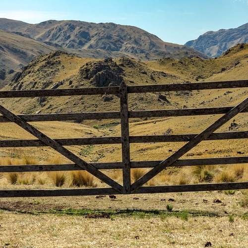 Photo #7330631