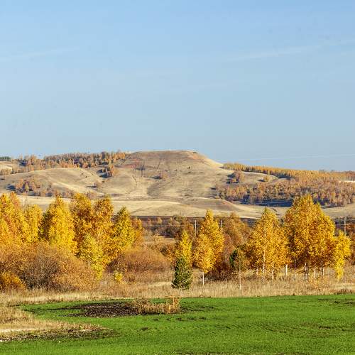 Photo #7330702