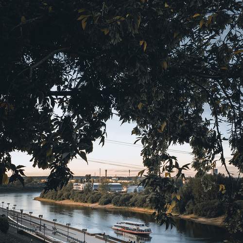 Photo #7330833