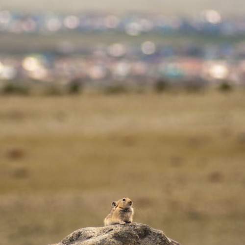 Photo #7330943