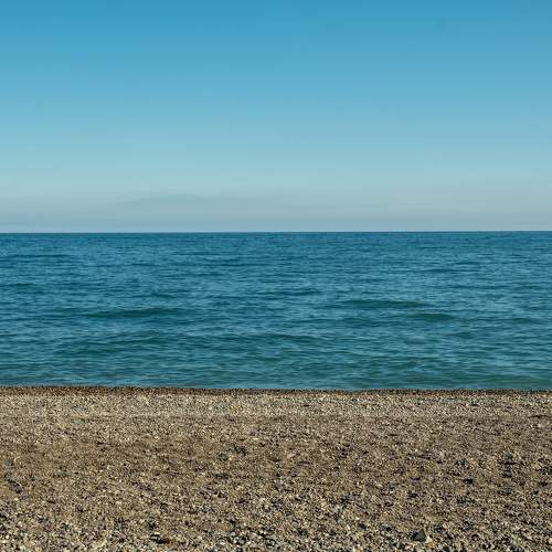 Photo #7331040