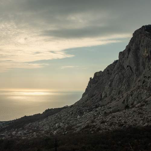 Photo #7331076