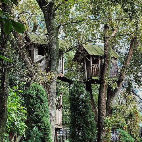 Photo #7331133