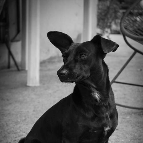 Photo #7331168