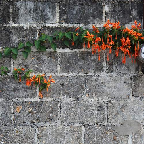 Photo #7331247