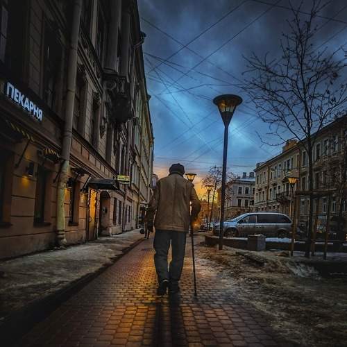 Photo #7331296