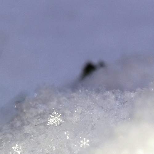 Photo #7331298
