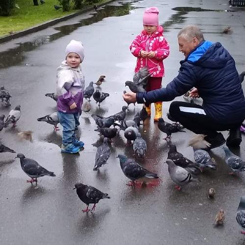 Photo #7331386