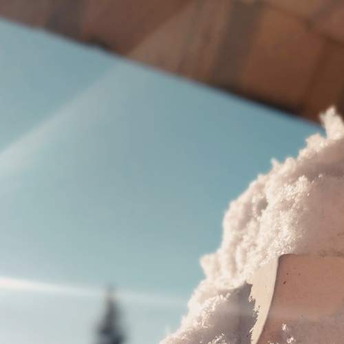 Photo #7331428