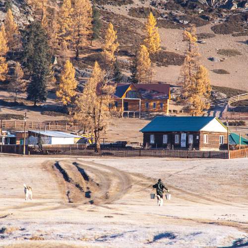 Photo #7331454
