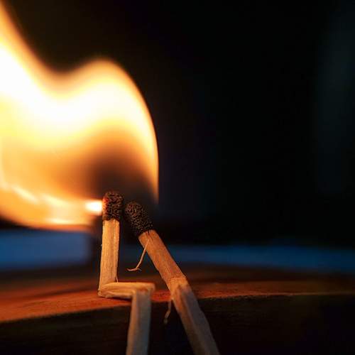 Photo #7331457