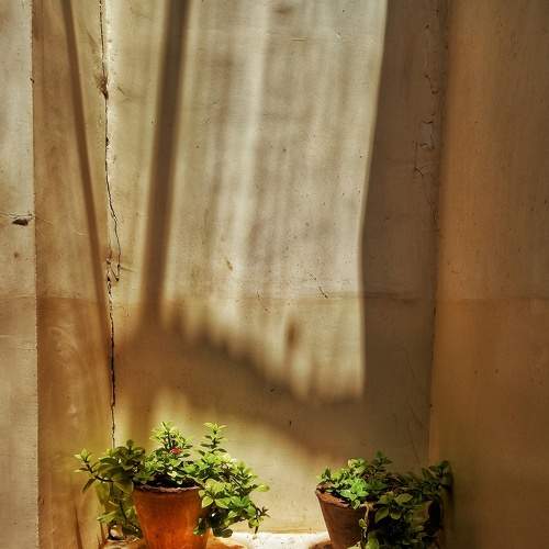 Photo #7331469