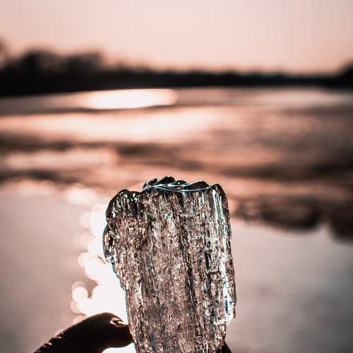 Photo #7331515