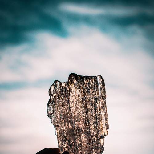 Photo #7331597