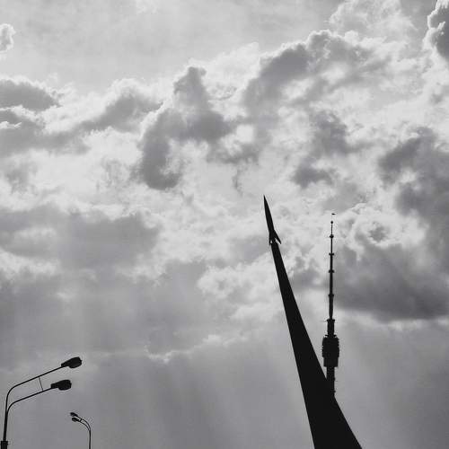 Photo #7331631