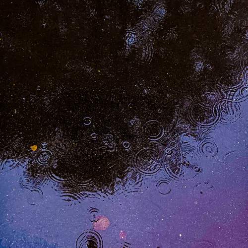 Photo #7332194