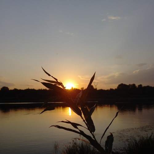Photo #7332308