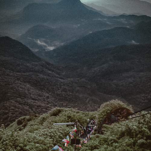 Photo #7332330