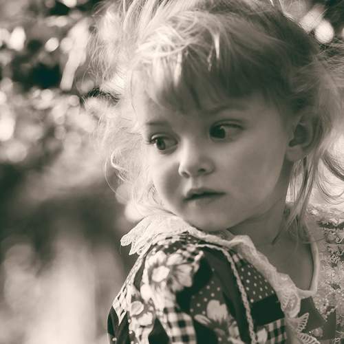 Photo #7332397