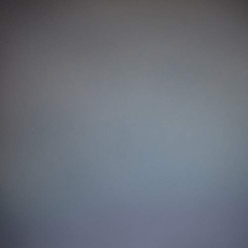 Photo #7332418