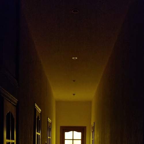 Photo #7332522