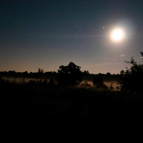 Heavenly horizon with the moon in the starry night sky.