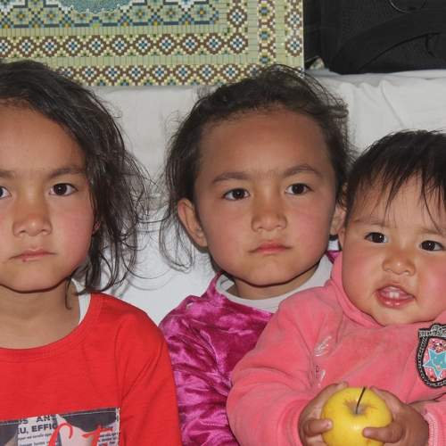 Photo #7332686