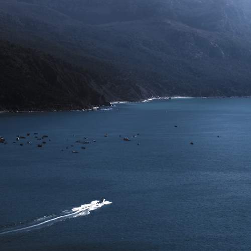 Photo #7332899