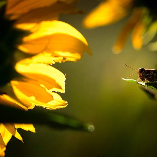 Photo #7332920