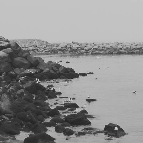 Photo #7333005
