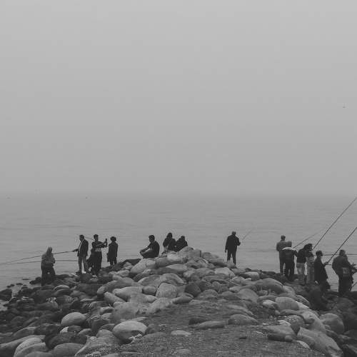 Photo #7333013