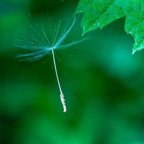 Photo #7334039
