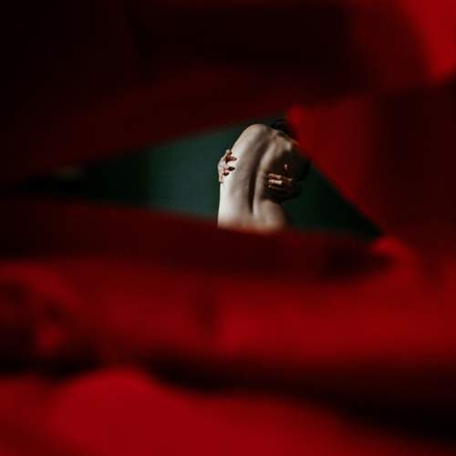 Photo #7334165