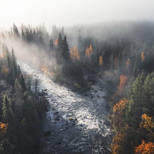 Photo #7334905