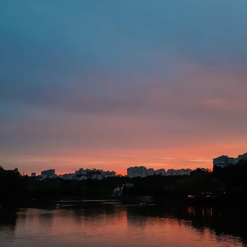 Photo #7334973