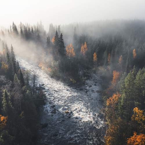 Photo #7334992