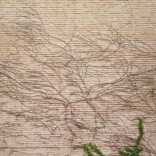 Photo #7335126