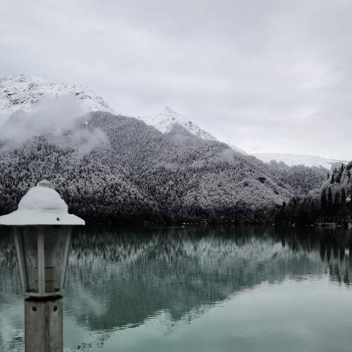 Photo #7335167