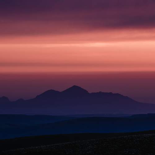 Photo #7335363