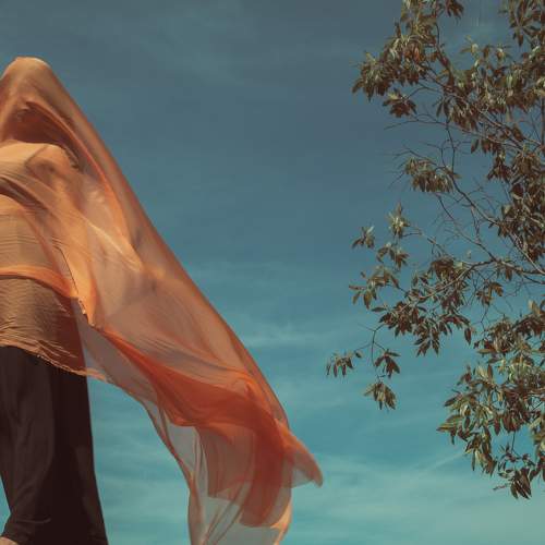 Photo #7335430