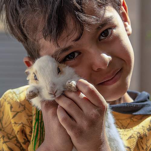 iman and playful rabbit