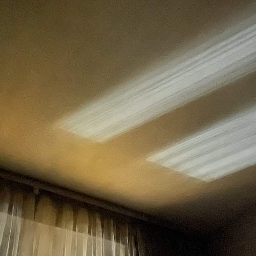 Photo #7335626
