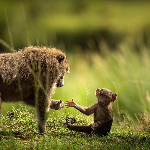 Photo #7335658